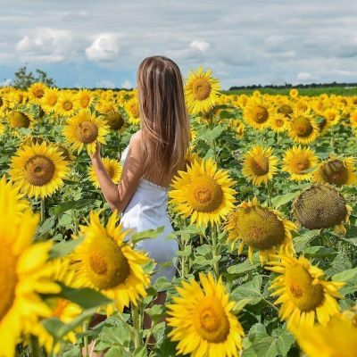 АЛЁНА , 8 963 884-68-99