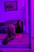 Проститутка Алия(20 лет, Пермь)